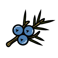 Juniper Solutions logo - Montana technology consulting for conservation organizations